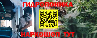 прущие крисы Конаково