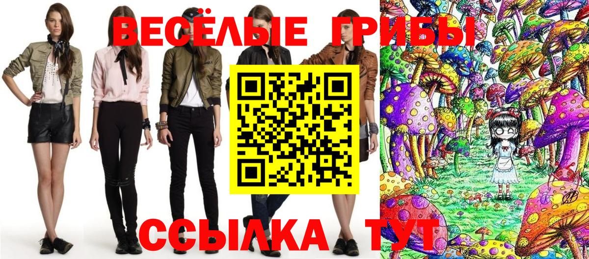 Галлюциногенные грибы Cubensis Кострома