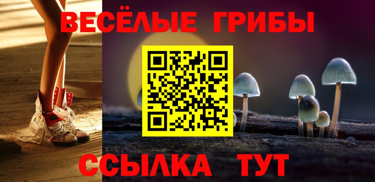 Кострома  Псилоцибиновые грибы MAGIC MUSHROOMS  купить закладку  Вход с VPN 